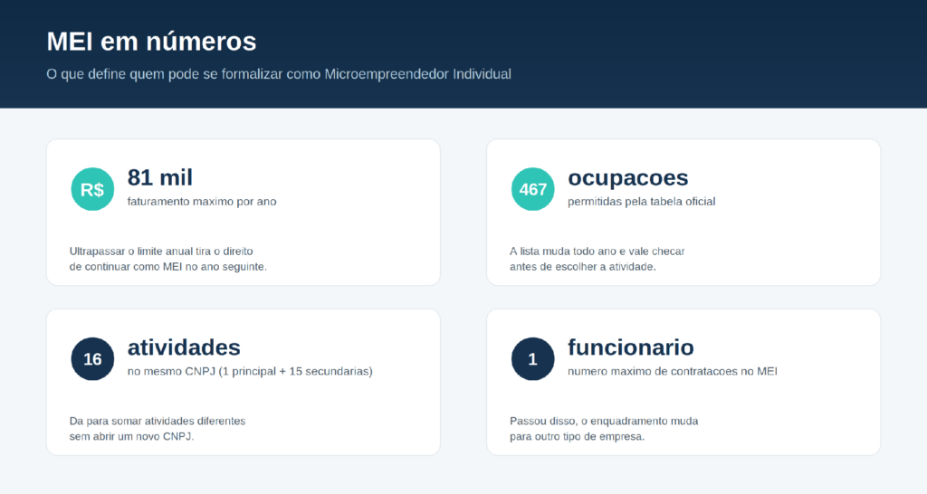 MEI em números
