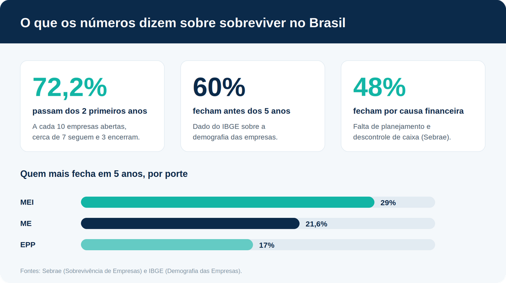 Panorama da sobrevivência dos pequenos negócios no Brasil. Fontes: Sebrae e IBGE.